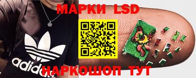 спайс Донской