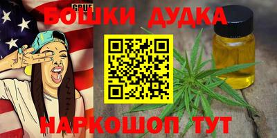 МДПВ Дубна