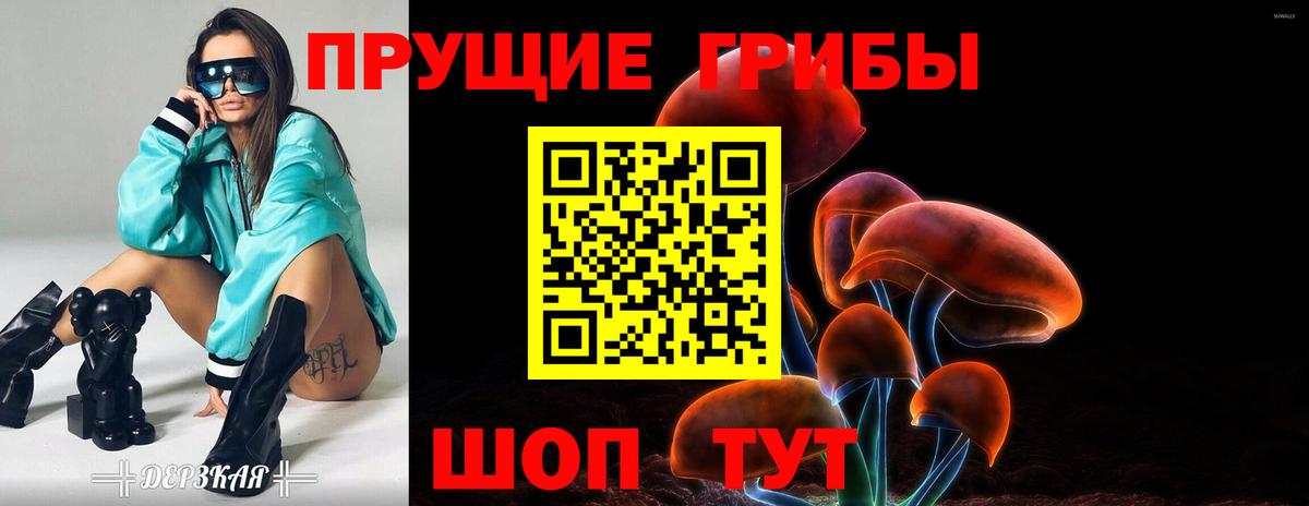 Набережные Челны  Галлюциногенные грибы прущие грибы  Вход с VPN 
